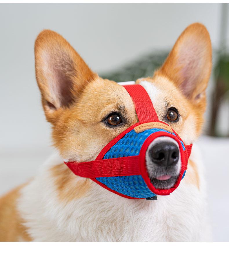 Payment confirmation: Mesh dog muzzle for preventing biting, barking, and eating indiscriminately, secure fit to prevent accidental ingestion and digging