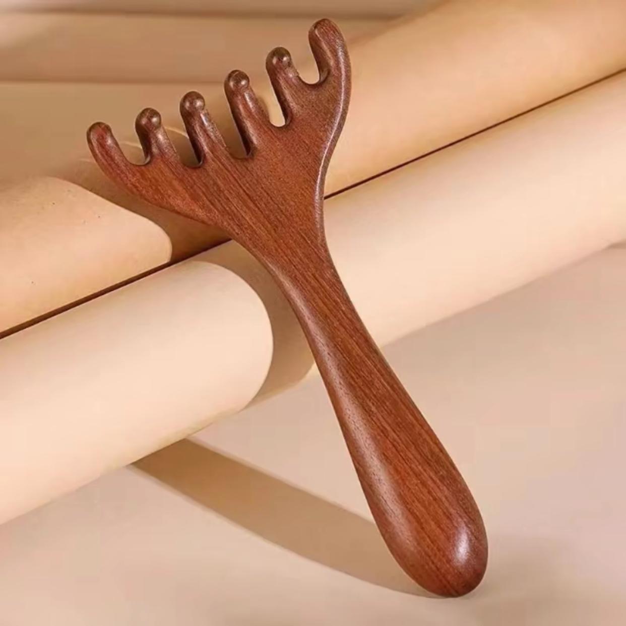 Wooden Scalp Massager Set, 3 Counts/set Manual Scalp Massager & Scalp Stimulator & Brush & Applicator Bottle, Heatless Hair Styling Tool for Home & Travel, Body Care