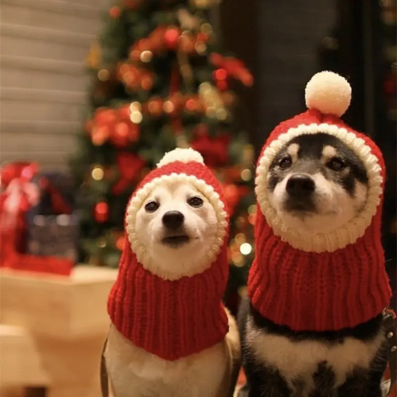 Pet Hats for Dogs and Cats, Halloween and Christmas Pull-On Caps, Teddy and Pomeranian Santa Hat, Festive Pet Accessories