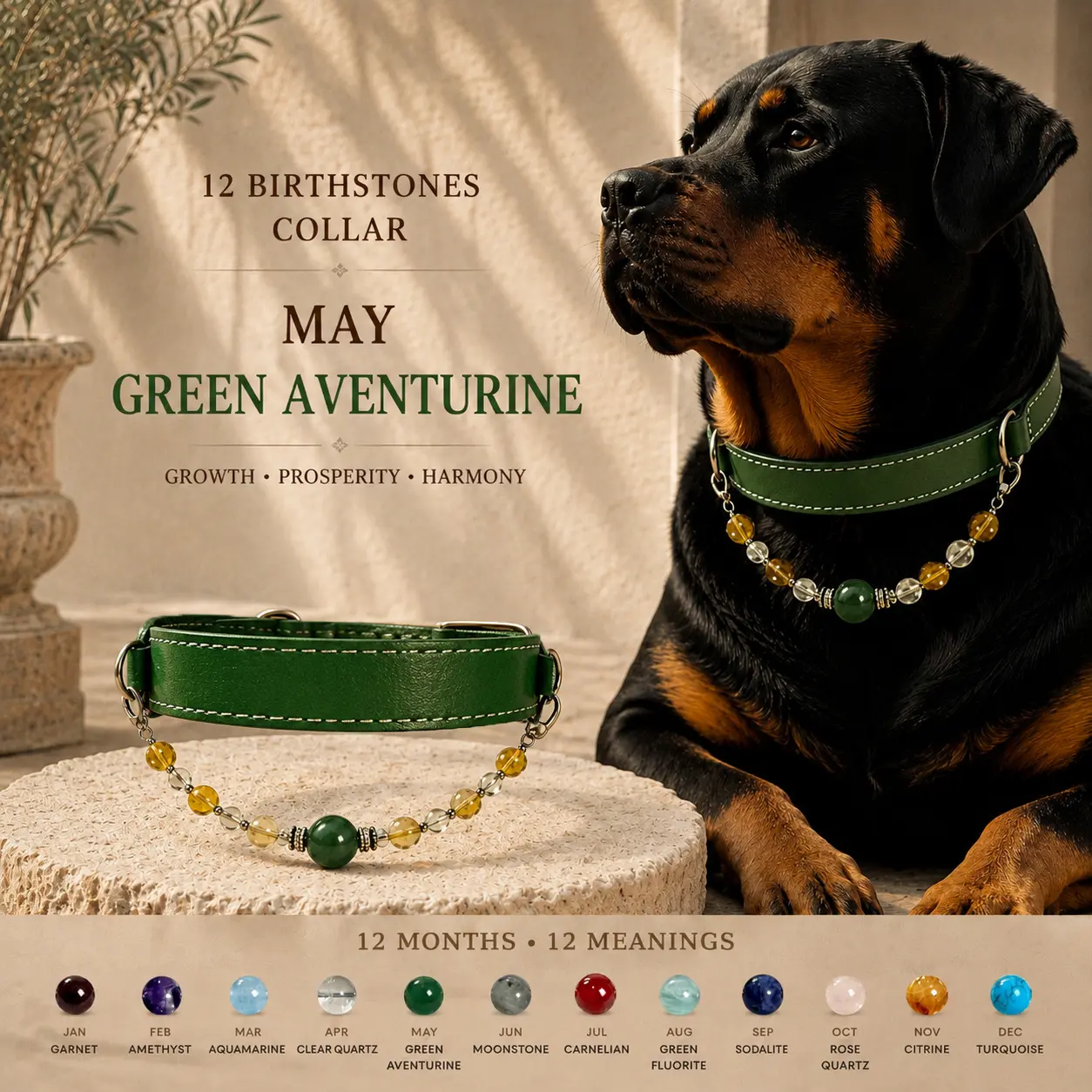 Pet Collar Gift | May. Birthstone that Green Aventurine Natural Crystal Stone For Puppy & Kitty Jewelry Necklace