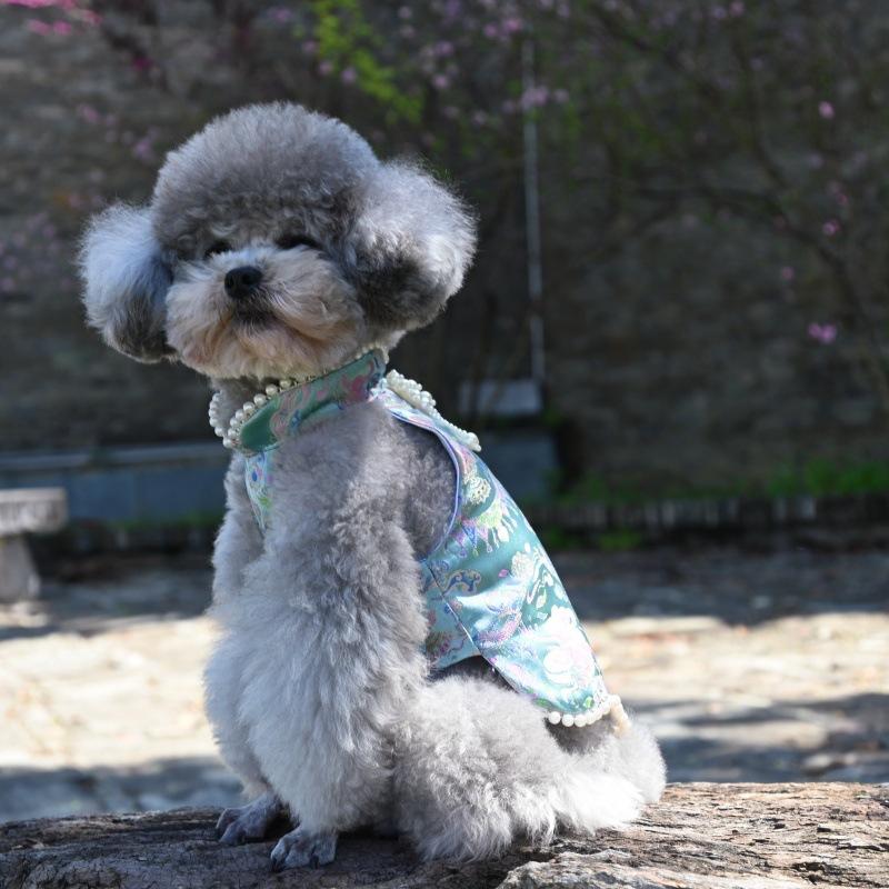 Paws Trendy Pet Spring & Summer Qipao for Dogs & Cats, suitable for Teddy, Bichon Frise and other small dogs. Features embossed fabric with exquisite retro frog buttons, fine workmanship, exuding noble elegance and making your beloved pet stand out.