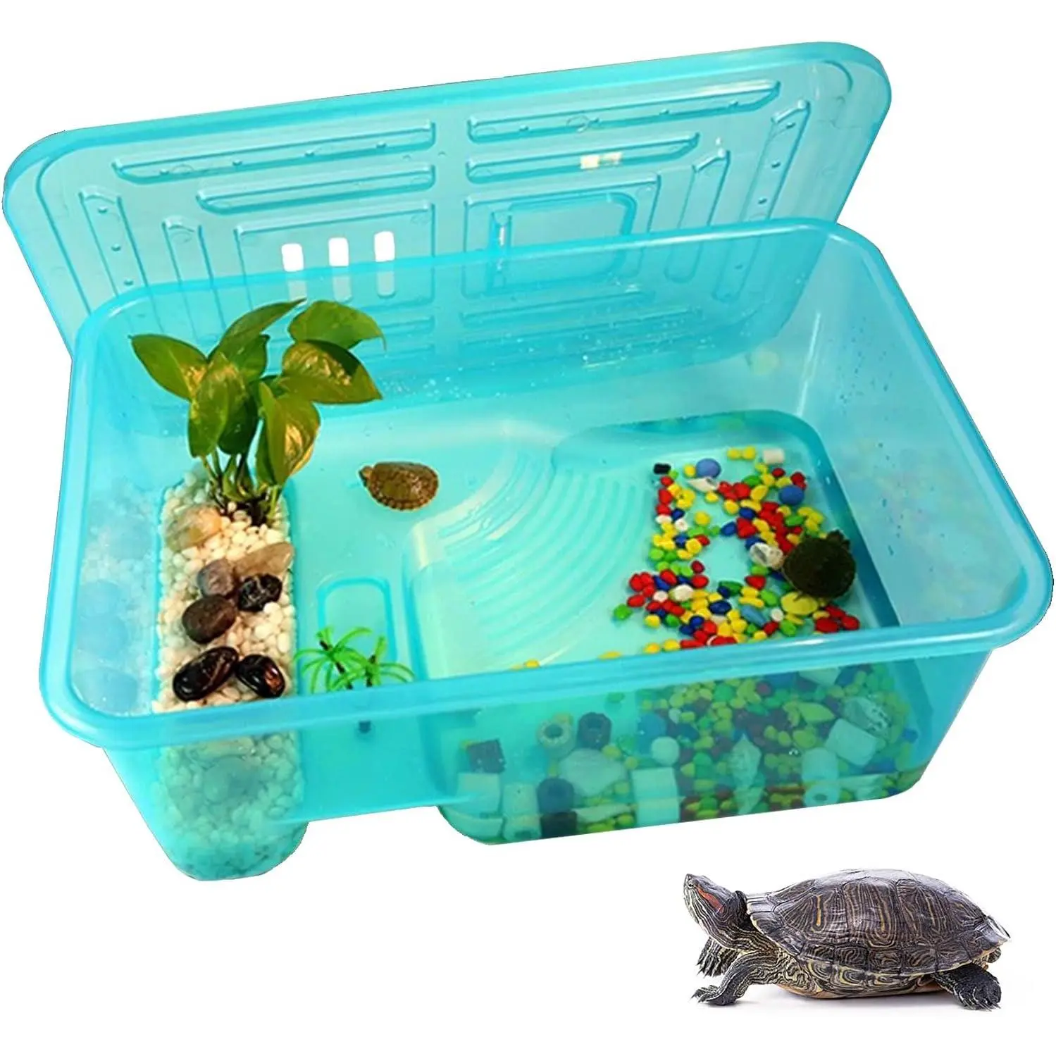 Turtle Tank Aquarium, Turtle Habitat Reptile Plastic Terrarium Safe Durable, Tortoise Tank with Lid Prevent Climbing Escaping (Medium)