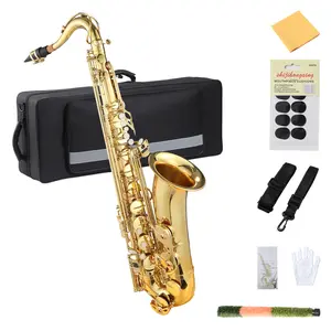 E Flat Alto Saxophone Beginner Full Package, Gold Finish Brass Student Saxophone with Complete Care Kit Portable Backpack Case for School Band Daily Practice & Holiday Gift