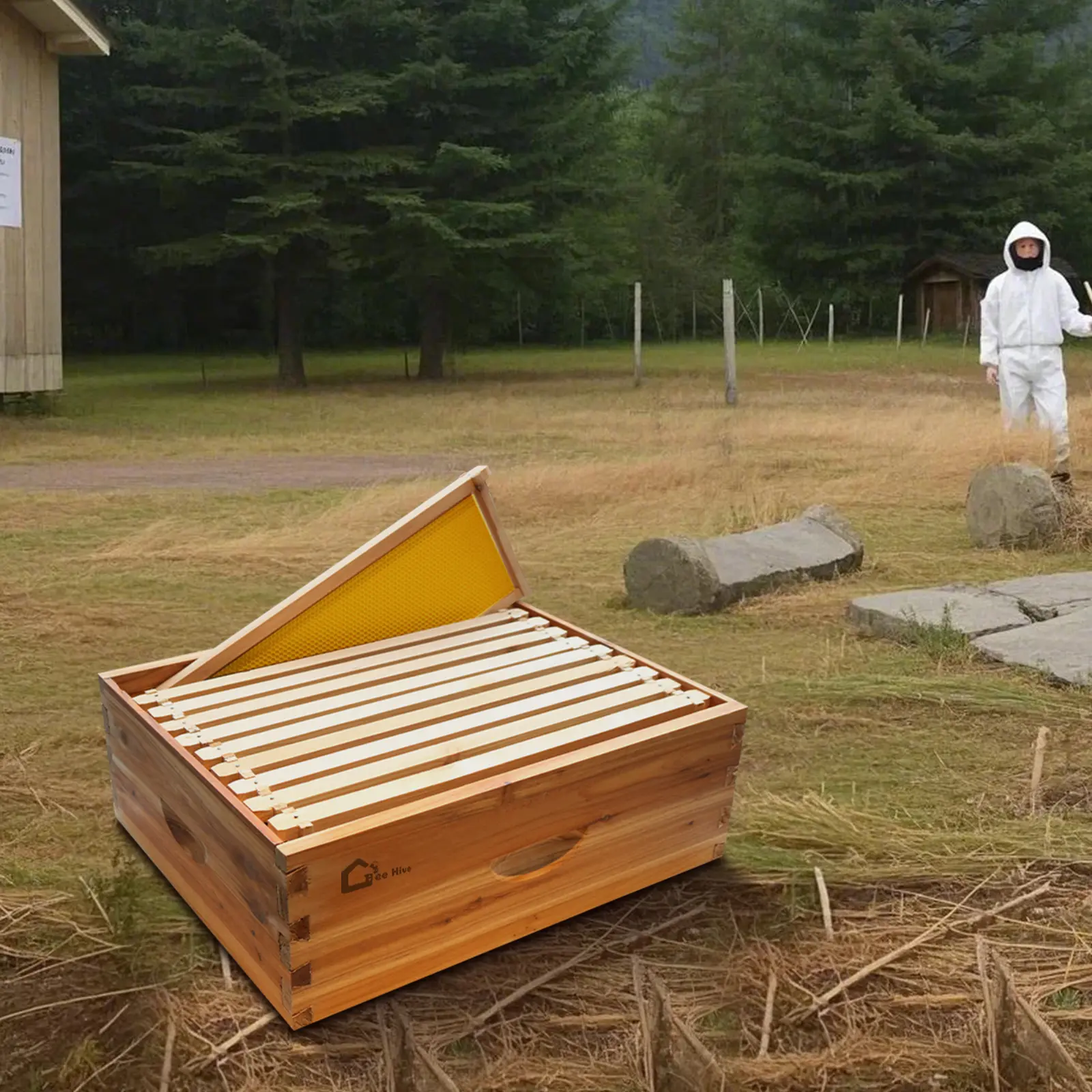 New 10-Frame Cedar Beehive Starter Kit for Beekeepers, Beeswax-Dipped Bee Box with Durable Beeswax Protection, Entrance Reducer, Wooden Frames & Waxed Foundations, Easy Assembly for Enhanced Honey Quality