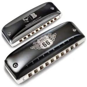 Jazz Harmonica, 10 Hole Blues Harp Diatonic Harmonica key of C with Yellow Case for Beginners, Amateurs and Professionals as