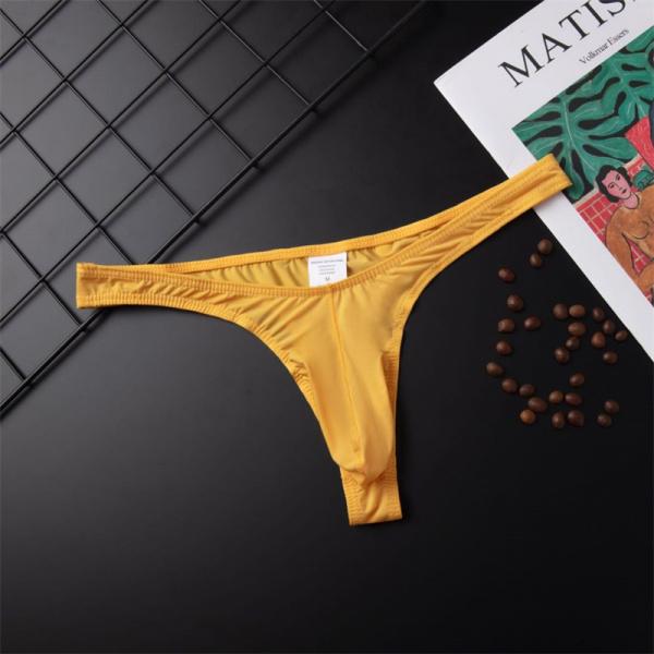 2PCS/3PCS/4PCS Men's triangle underwear knitted nylon breathable and elastic low waist T-shaped back underwear suitable for all seasons, sizes availa M-XXL