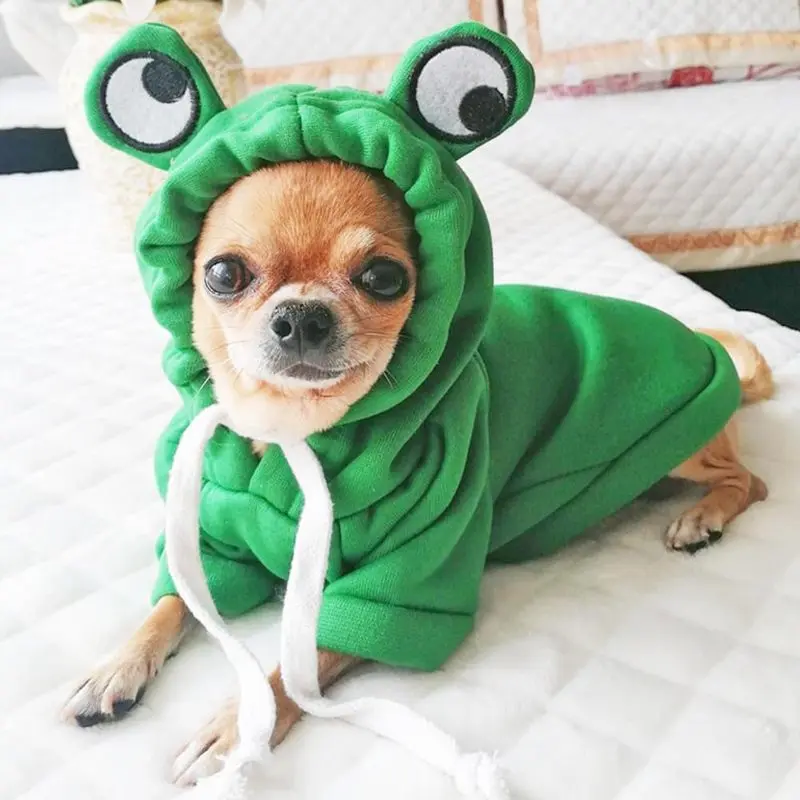 Fun pet clothing suitable for dogs, cats, girls, men, dogs, hoodies, warm dog sports shirts, jackets with eyecaps, autumn cat clothing, Christmas and Halloween clothing, dog frog clothing