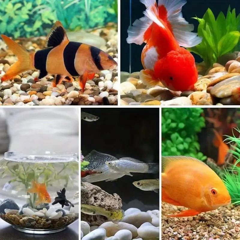 Multi-application Mixed Color Decorative Stone (1 Pack), 14.1oz/400g Stone for Garden Decor, Fish Tank, Flower Pot & Succulent Plant