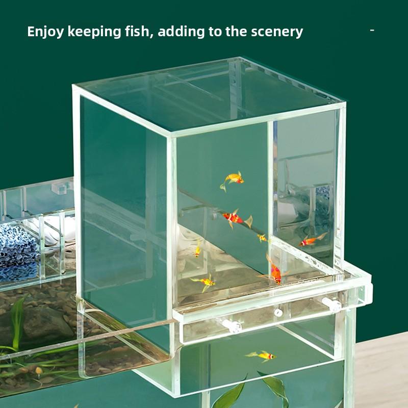 Wall Mounted Negative Pressure Fish Tank Acrylic Small Vacuum Floating Top Mounted Ecological Creative Decorative Small Fish Tank