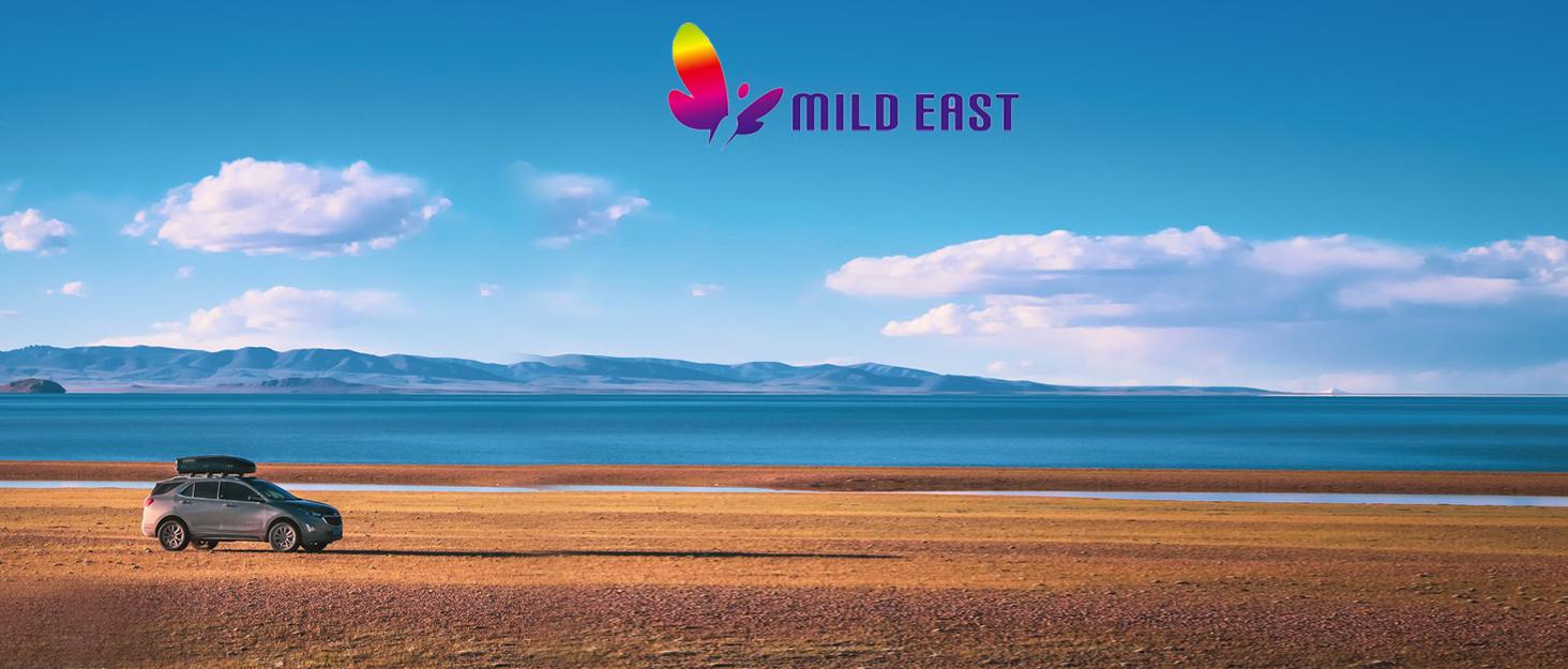 for GMC Key Fob Cover with Keychain,Compatible with Chevy Silverado & GMC Sierra Acadia Terrain 1500 2500HD 3500HD