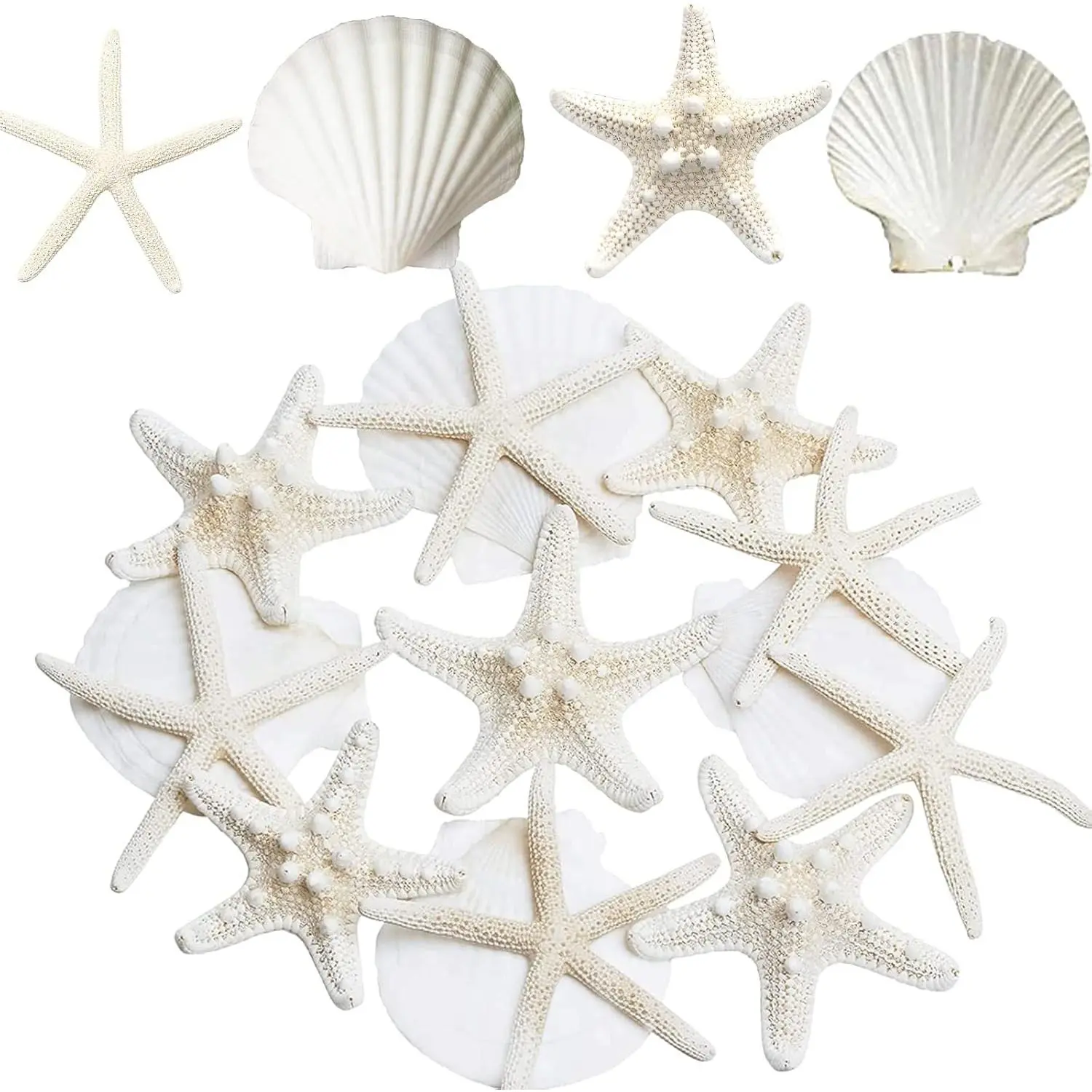 3-4 Inches Large Starfish and  Shells for Crafts 12 count,  Beach Sea Shells for Crafting, Baking Shells  for White Christmas Decor Beach Party Wedding Fishtank DIY Crafts