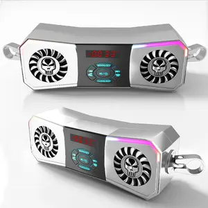 Silver Color Skull Motorcycle Speaker, 12V External Power, Handlebar Mount, Stereo Sound System, Fm Radio, USB Mp3 Player, Aux Input, RGB Lights