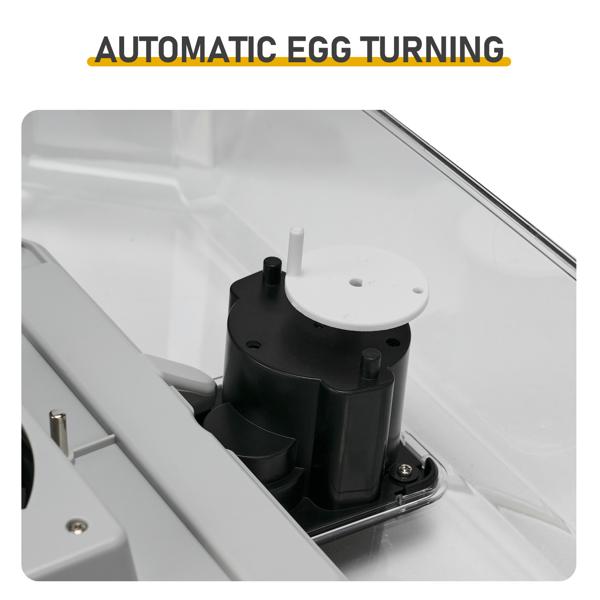 48H Pro 48-Egg Incubator 110V 85W Fully Automatic Egg Turner LED Candler Auto Temp Humidity Control Fahrenheit Display ABS PET Body Clear Lid Storage Compartment for Home Use Home