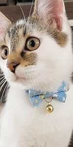 PetSoKoo Cute Bowtie Cat Collar with Bell. Japanese Stylish Bowknot & Fish Charm. Safety Breakaway, Soft, Lightweight, for Girl Boy Male Female Cats Kitten,Green