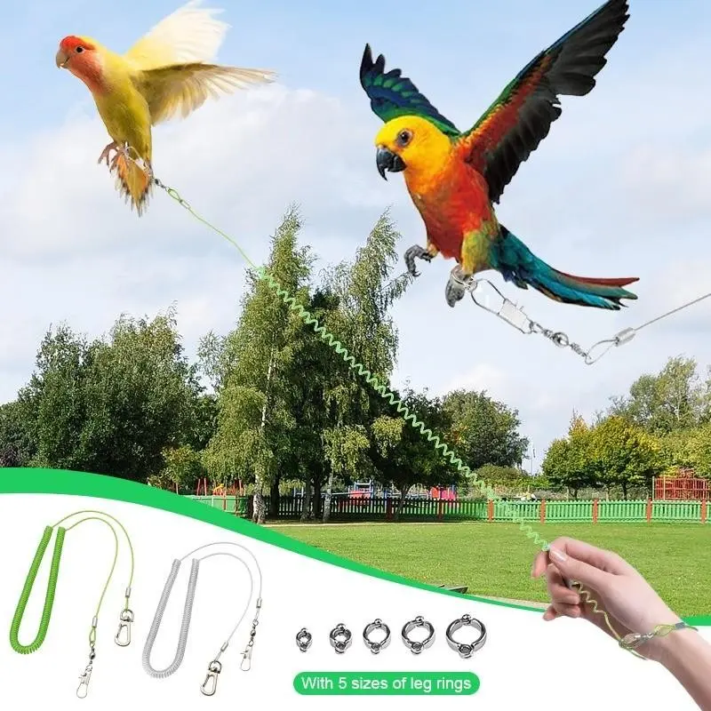Retractable Bird Harness, Anti-Bite Leash with Ankle Chain, Universal for Small Medium Parrots, Multi-Color Stainless Training Rope, Supplies
