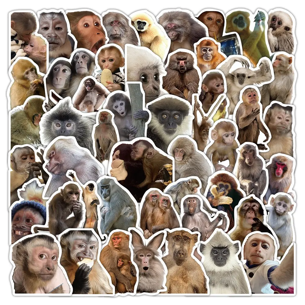 50Pcs Monkey Stickers Durable Waterproof Vinyl Decals For Water Bottles Laptop Luggage Cup Computer Mobile Phone Skateboard Funny Stickers Kindle Scrapbook Supplies Laptop Sticker