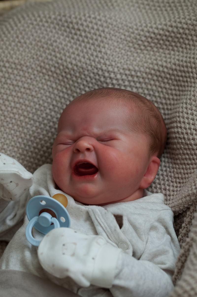 19inch Real Baby Dolls That Cry on Their Own Soft Silicone Head Limbs Cuddly Cotton Body Hand Painted Hair with Veins Acrylic Eyes Lifelike Reborn Stuffed Animal for Kids 3+ Water Resistant