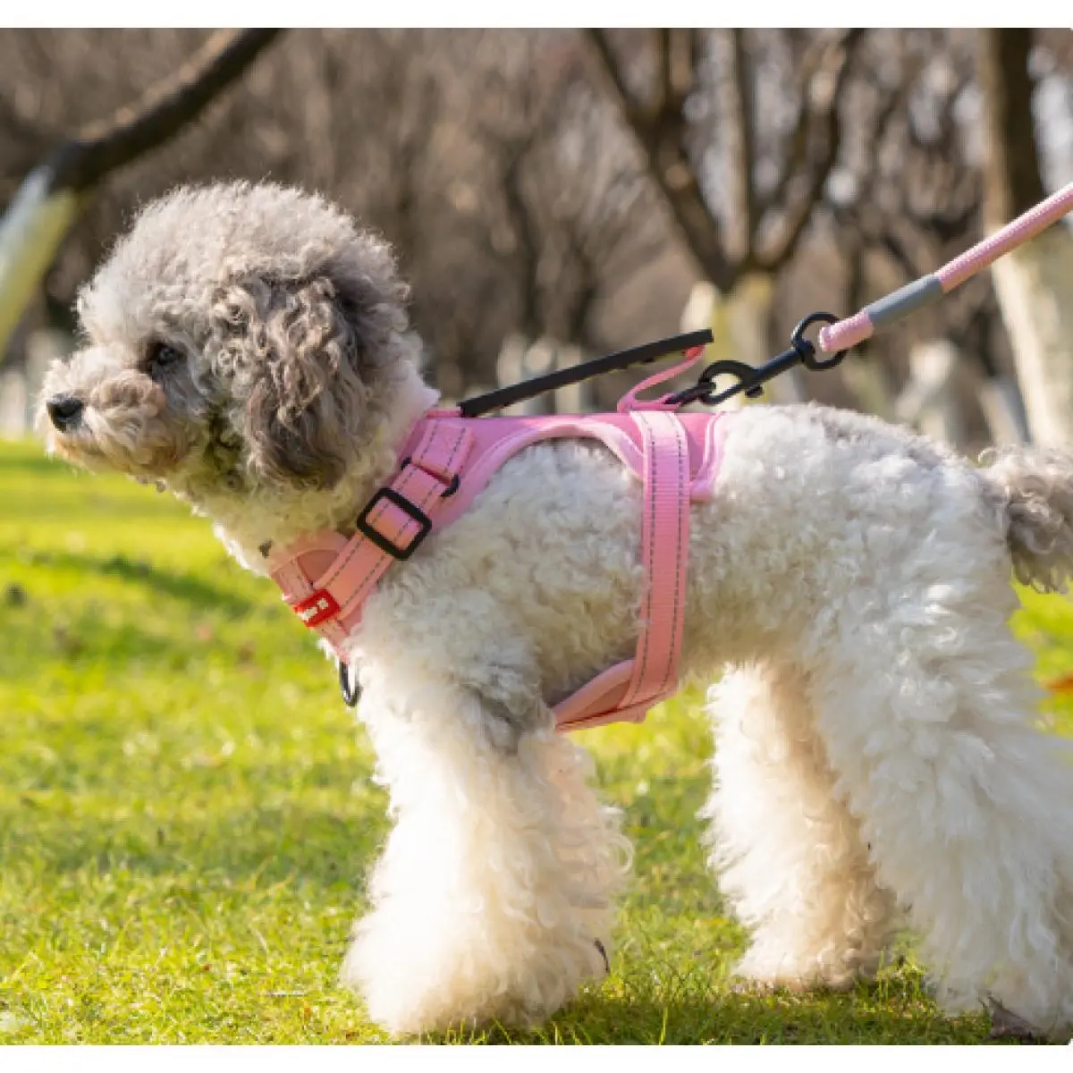 Oxford fabric anti-pull reflective pet harness + 1.5m leash, adjustable top handle, suitable for large, medium, and small dogs, anti-pull dog harness,Halloween,Ghost,Collar,with,Coffee,protection,sales,worldwide,Tactical,Dog Collar,Santa,Claus,Christmas