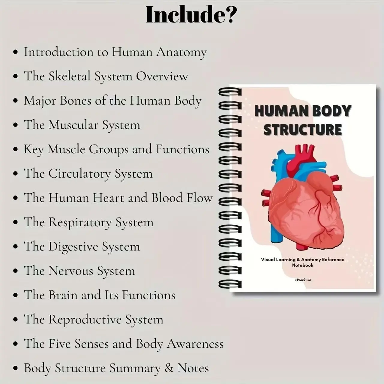 Human Body Structure Visual Anatomy Reference Notebook, Blood Flow, Coil Notebook for Anatomical Study, Visualization Tool Book for Anatomy Learners