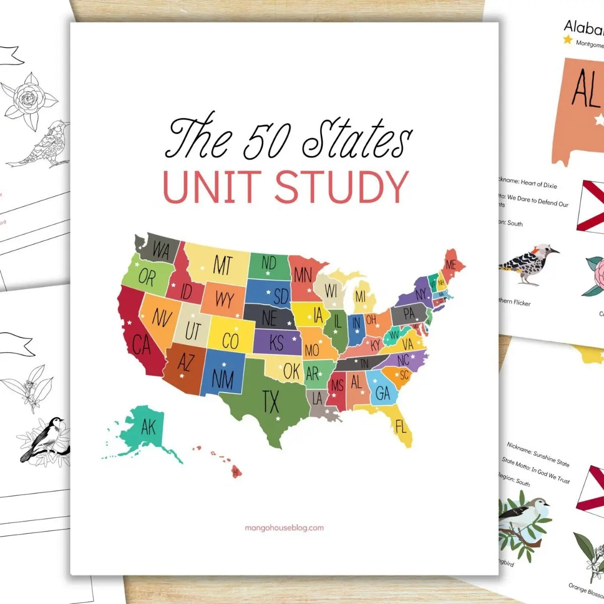 Cross-Border in Stock the 50 States Unit Study, Usa Geography Knowledge Practice Book, Educational Material for Learning U.s. Geography