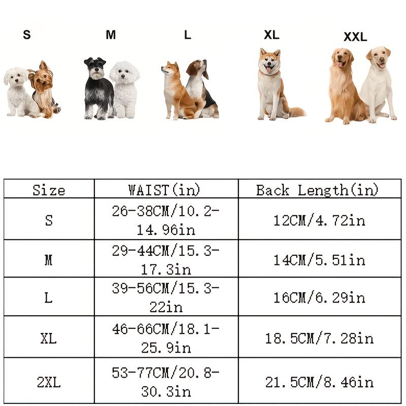 New Pet Female Dog Period Pants in 5 Colors, Comfortable, Leak-proof, and Breathable. Anti-harassment Modesty Pants, Reusable Dog Menstrual Pants, Dog Diapers. Suitable for Small, Medium, and Large Dogs. for All Seasons