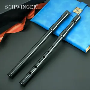 Schwinger 6 Hole Recorder Key D Resin, Portable Non-Toxic Flute Recorder for Beginners, Ideal for Kids Music Learning