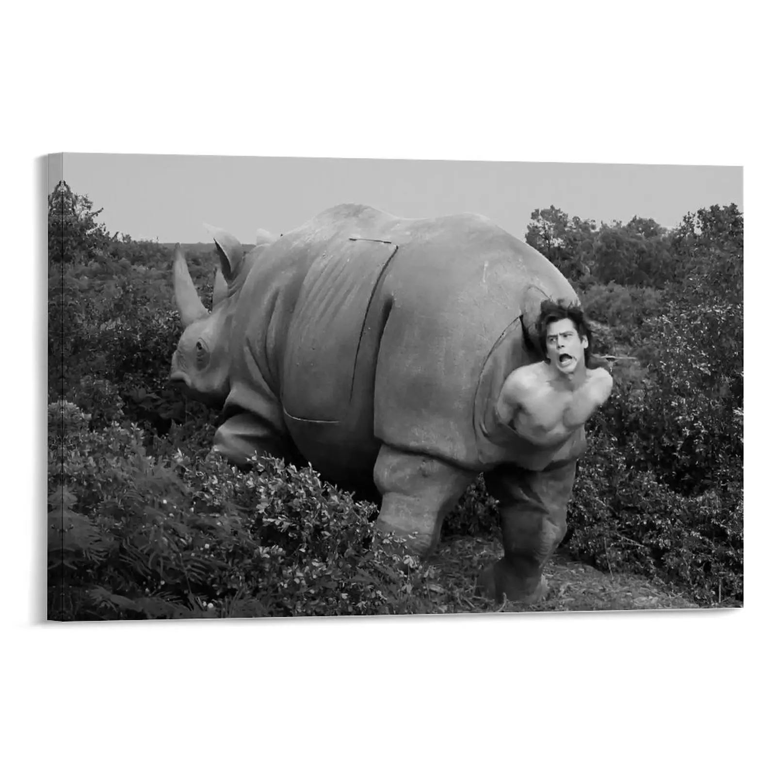 The Art of Entertaining Moments in Comedy Films Poster, Wall Art, Canvas Print, Home Decor for Bedroom Living Room Office