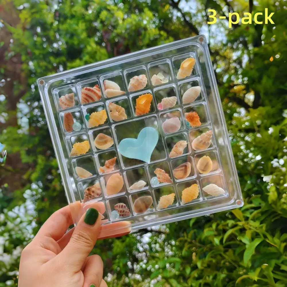 3 Piece Shell Storage Box Set, Mini Seashell Specimen Collection, High Transparency Acrylic, Strong Magnet, Organize Your Treasures