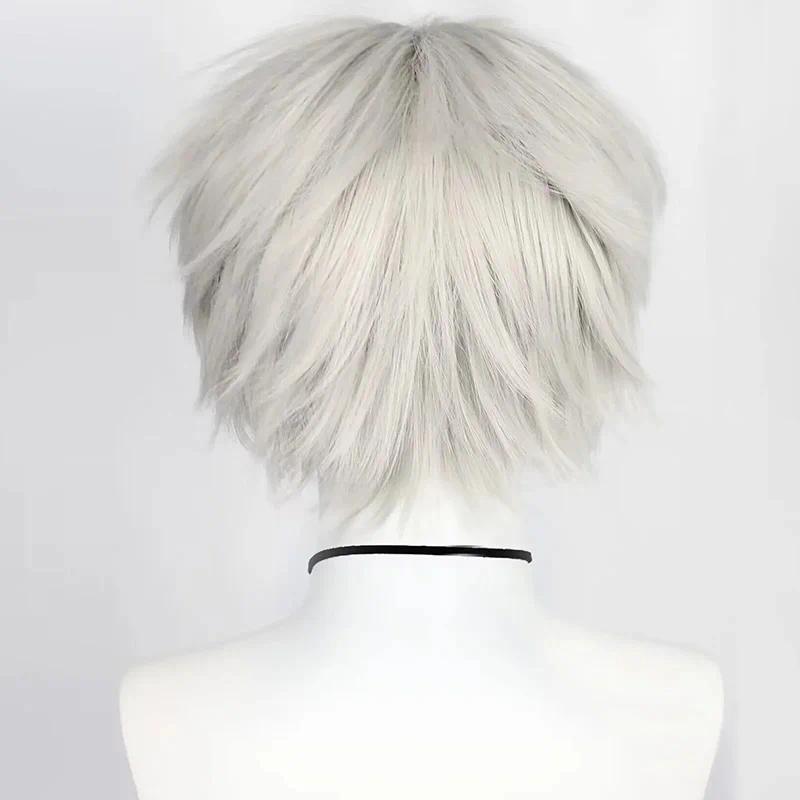 Universal Cosplay Synthetic Wig Silver Red Pink Blonde Grass Green Black Straight Men's Wig for Halloween Cosplay Party Wigs