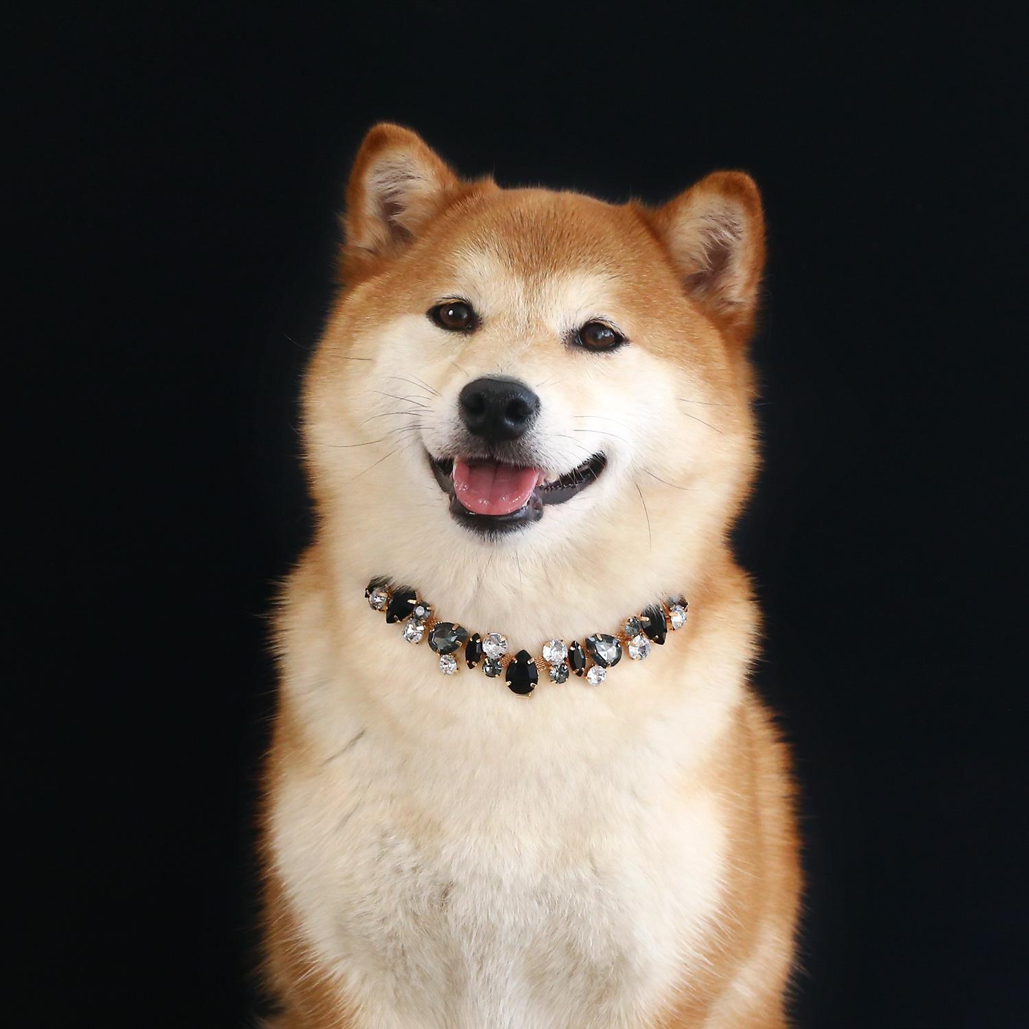 Luxury Pet Necklace: Gemstone & Crystal Chain Collar for Cats and Dogs - Full-Rhinestone, Princess-Style, Teardrop-Accent, Metal Wedding Collar