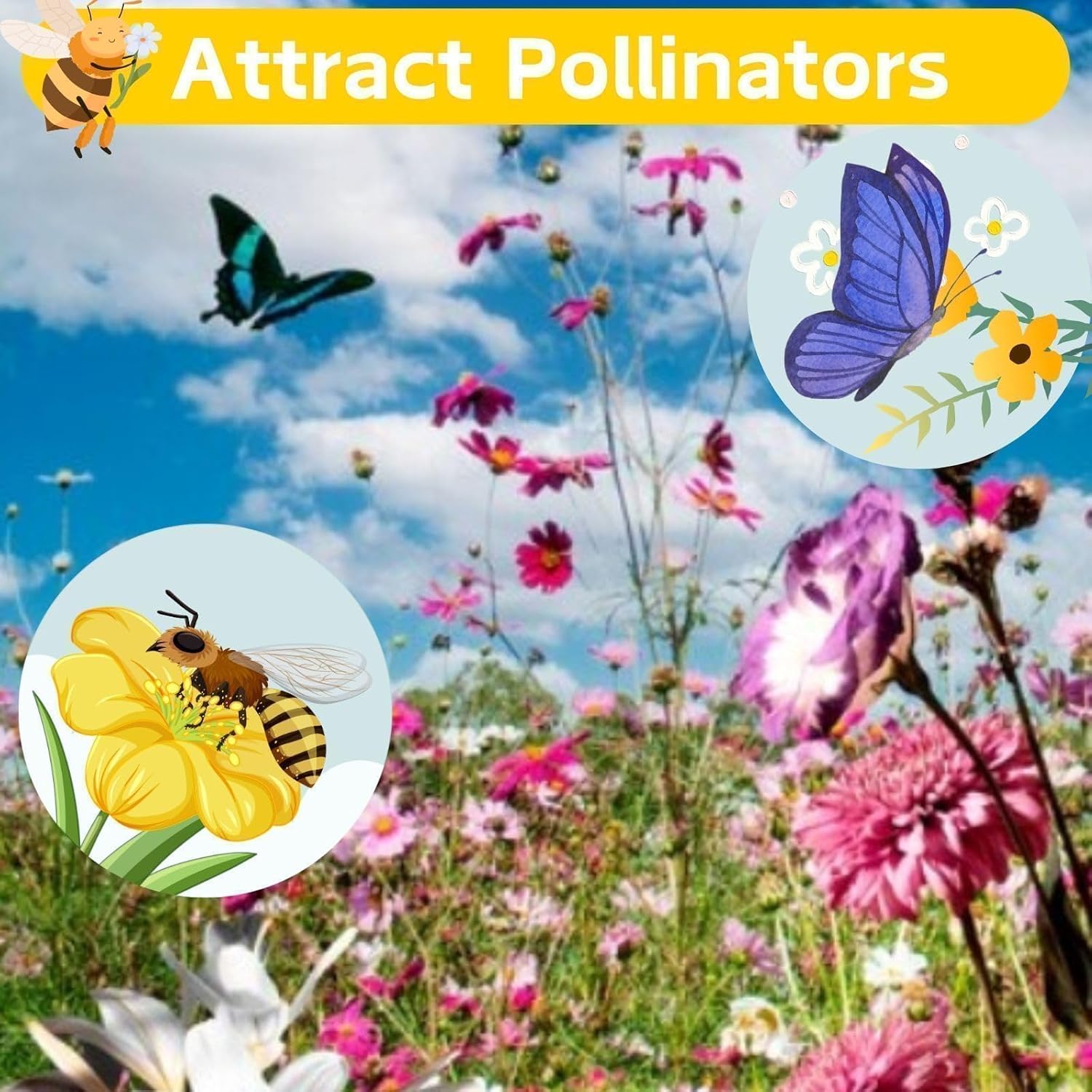 10000 +PCS (Moss Rose) Seeds -Mixed Double Portulaca Grandiflora Seeds Planting Ornaments Perennial Garden Simple to Grow Pots Gifts