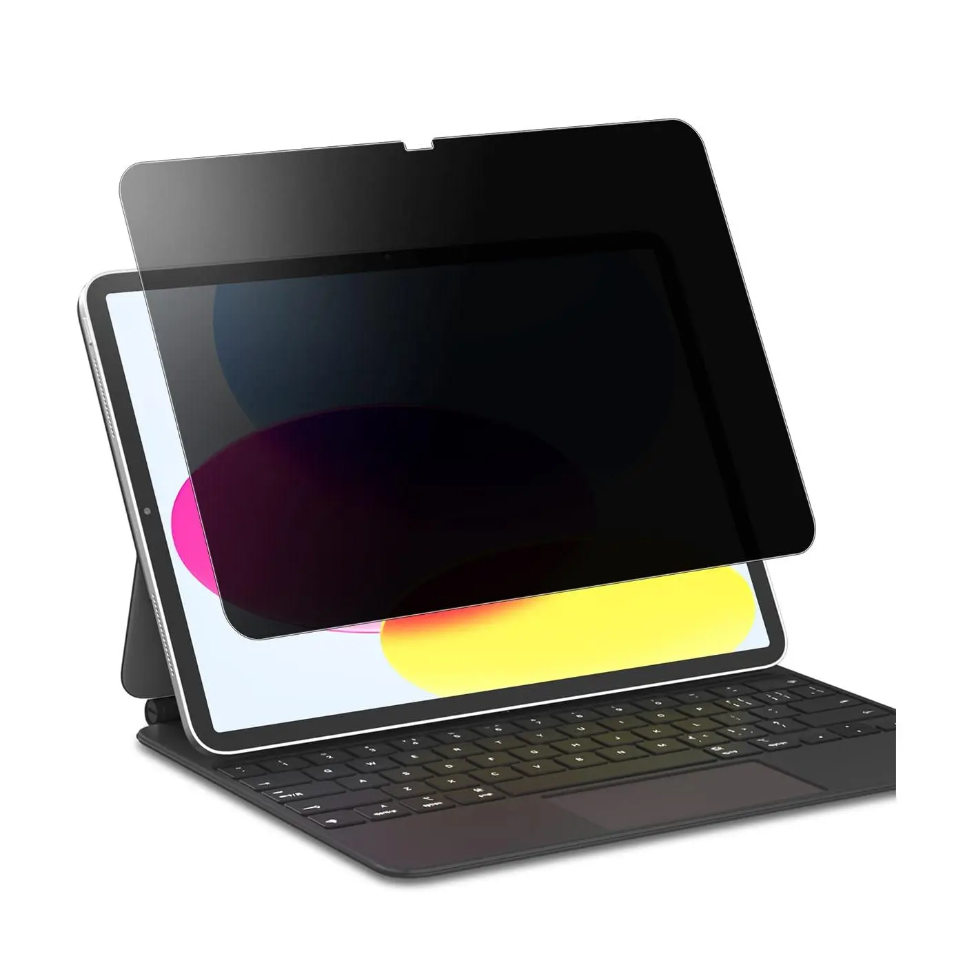 Privacy Screen Protector for iPad (A16) 11th/10th Generation (2025/2022) A3354 A3355 A3356 A2696 A2757 A2777 A3162, Anti-Spy Anti Blue Light Glare Landscape Privacy Filter Matte PET Screen
