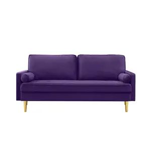 Purple Thick Velvet 65"L*27.5"W*33"H 2-Seater Loveseat, Solid Pine Frame Serpentine Spring High Density Sponge 800LBS Load Gold Plastic Leg Easy Assembly Compact Couch for Bedroom Living Room Apartment