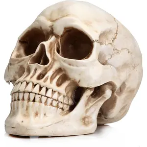 Halloween Skull Decoration Realistic 7.9 Inch Life Size Skeleton Head Prop for Indoor Outdoor Durable Plastic Skull Statue for Haunted House Party Gift