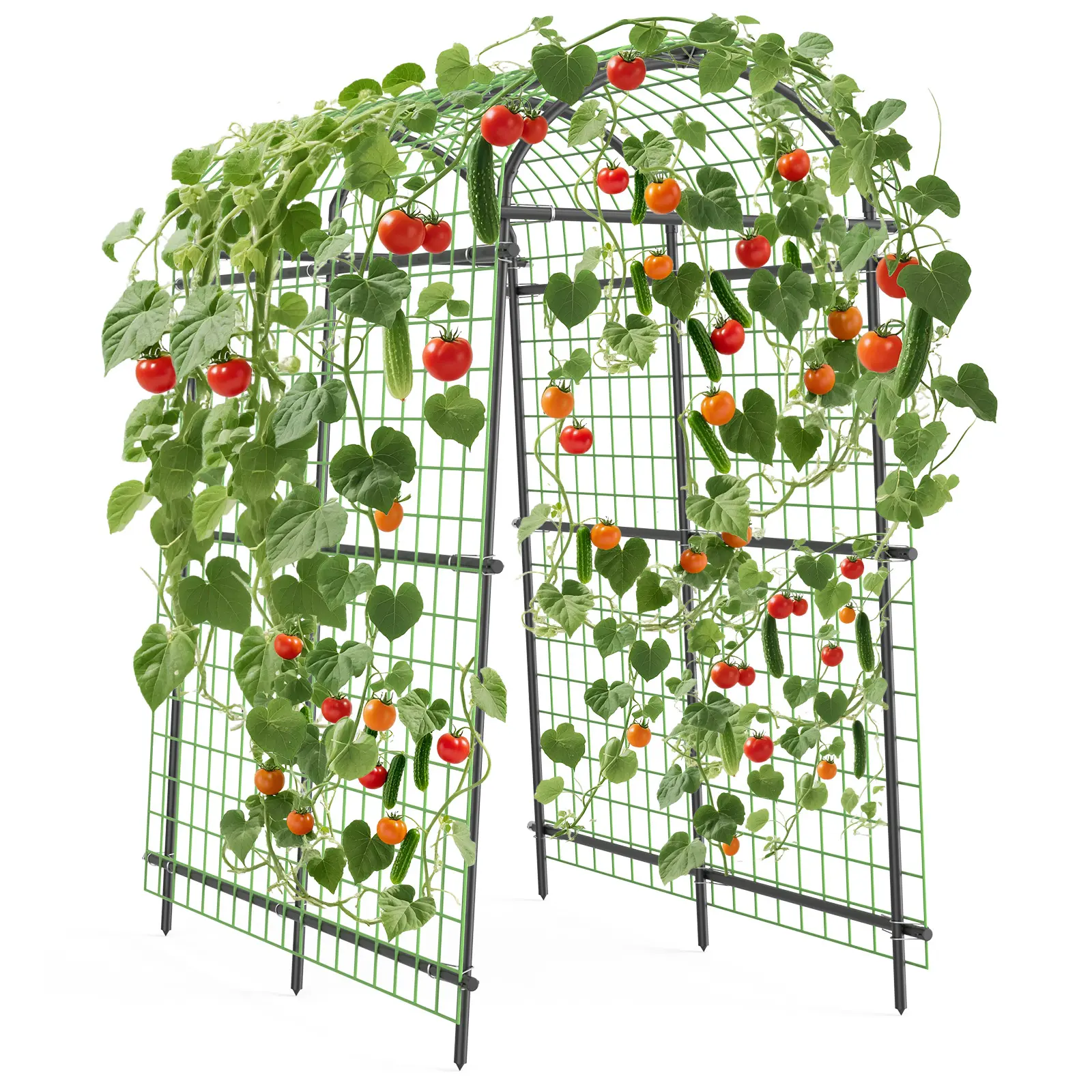 7.54FT Adjustable Extra Tall Metal Garden Trellis Arch with Netting – Polyethylene-Coated Steel Arbor – Outdoor Black Pergola for Walkways, Weddings, Raised Beds – No-Tool Assembly