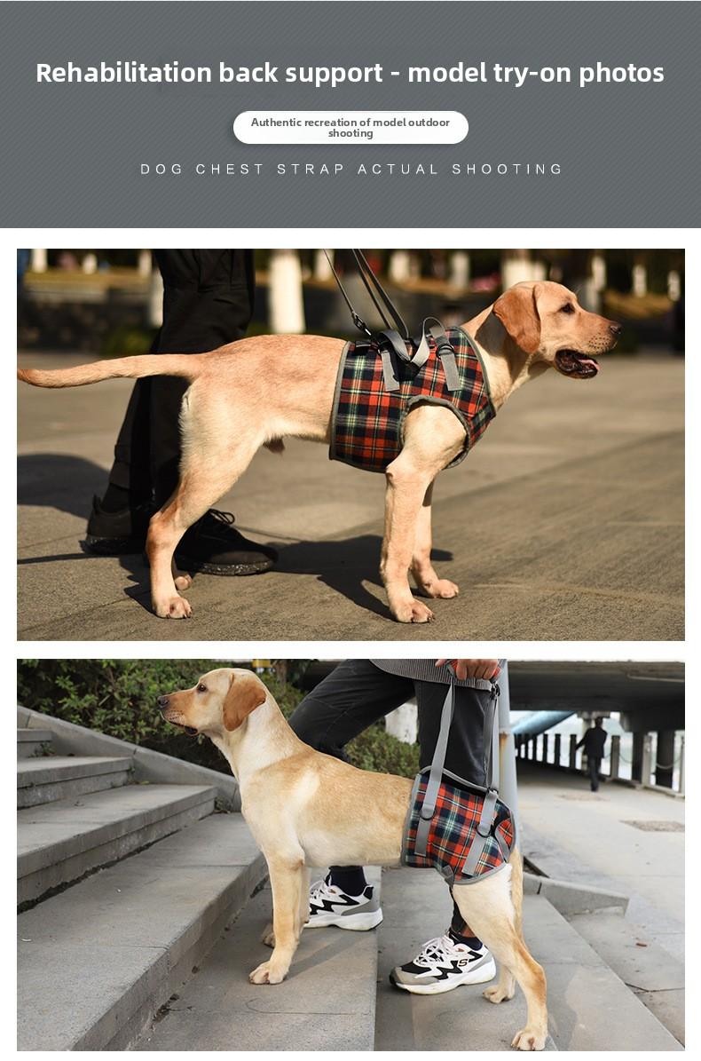 Dog Rear Leg Recovery Sling Post-Operative Rehabilitation Harness for Senior & Disabled Dogs Assistive Walking Leg Brace New Arrival Support Harness Injury Aid