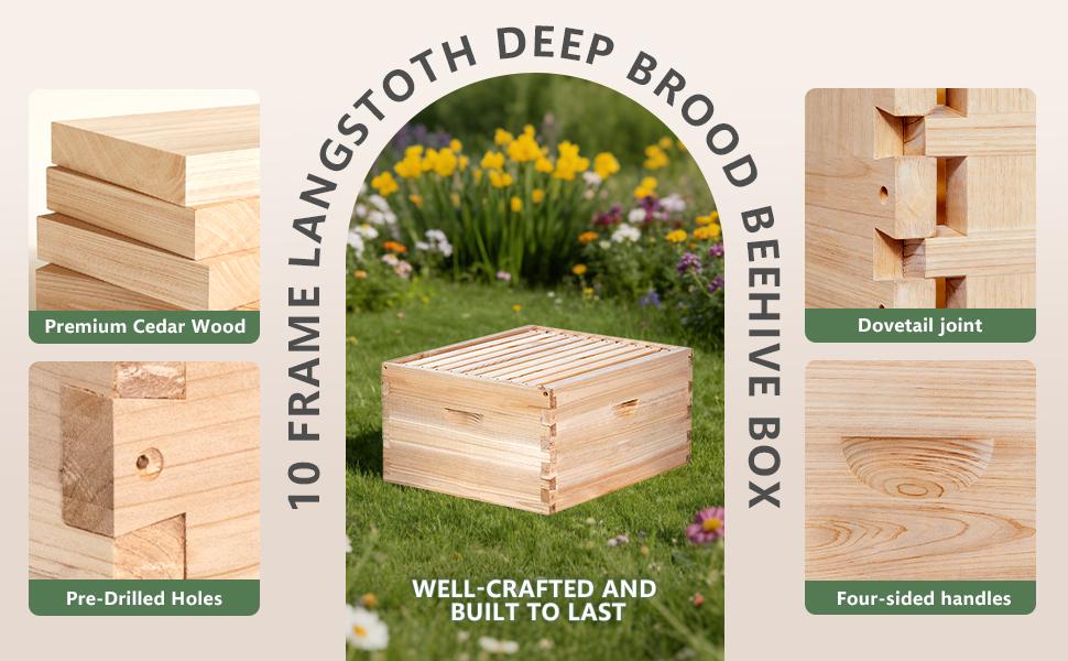 10 Frame Deep Beehive Box,Langstoth Deep Brood Bee Hive Box, Include Beehive Frames and Waxed Foundations