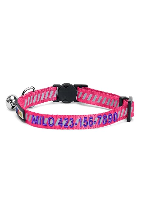 Pawtitas Reflective Cat Collar with Safety Buckle and Removable Bell Cat Collar Kitten Collar Purple Orchid Cat Collar