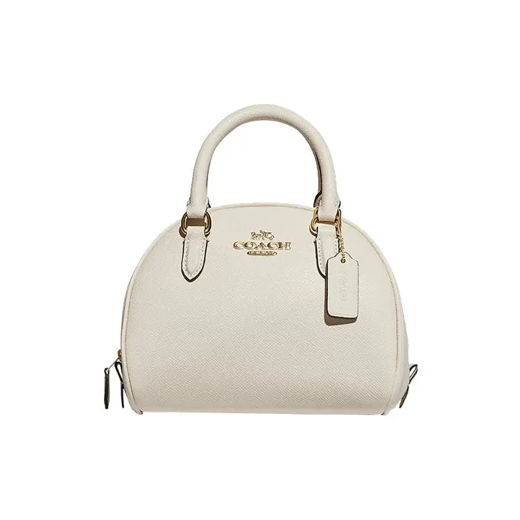 COACH Sydney 21 Solid Crosshatch Leather Clamshell Handbag for Women, Small, Chalk White