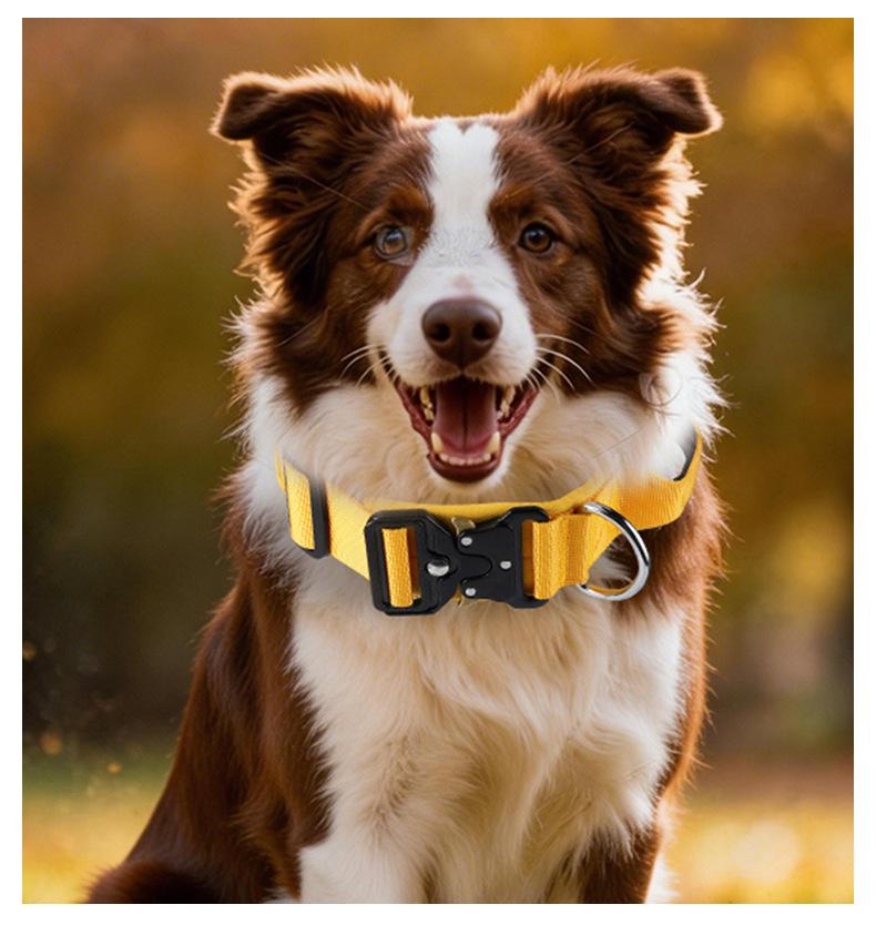 Premium Heavy-Duty Nylon Dog Collar - Extra Wide, Padded, with Stainless Steel Buckle Adjustable Pet Collar, Durable Dog Collar for Medium Large Dogs Cats for Outings, Dog Supplies, Pets Supplies, Christmas Gift