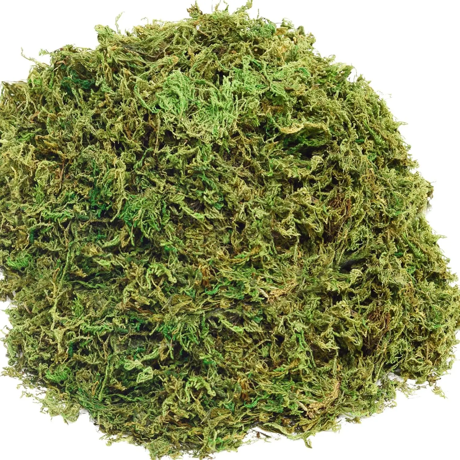 10oz (283g) Synthetic Green Fairy Moss Decorative Centerpiece - Eucalyptus-Style Photorealistic Artificial Moss for Potted Plants, Wedding Baskets, Jar Displays, Forest Decoration, Home Decor with Long-Lasting Natural Look, Photorealism, Fairy Garden Craf