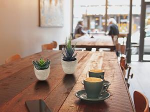 Artificial Succulent Plants Potted, Assorted Decorative Faux Succulent Potted Fake Cactus Cacti Plants with Pots, Set of 5 Artificial Succulent Plants Potted, Assorted Decorative Faux Succulent Potted Fake Cactus Cacti Plants with Pots, Set of 5