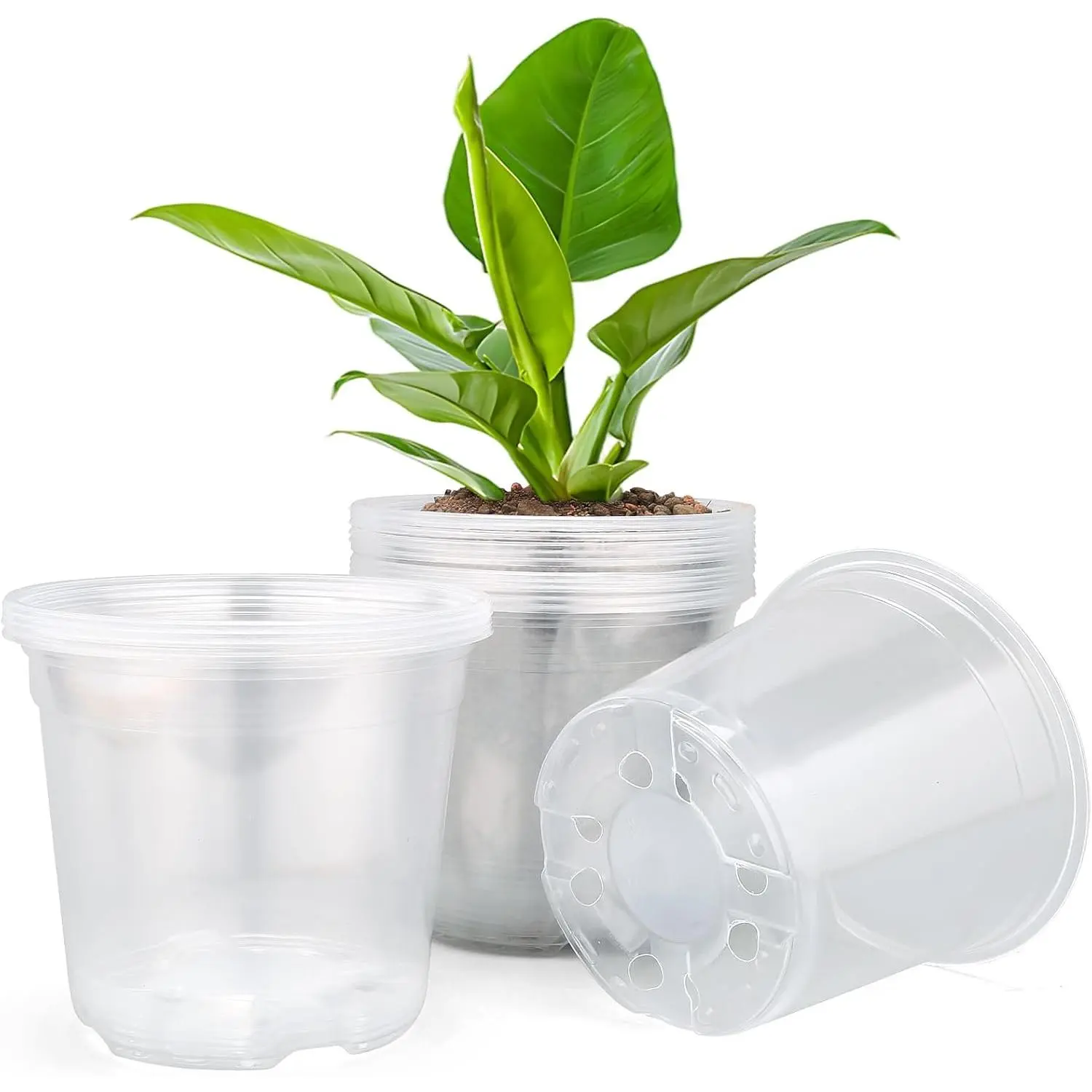 15 Pack Clear  Pots with Drainage Holes, 3 Inch Seed Starting Plastic  Pots, Transparent Variety Pack Flexible Garden Pot for Outdoor Indoor (Clear, 3 Inch)