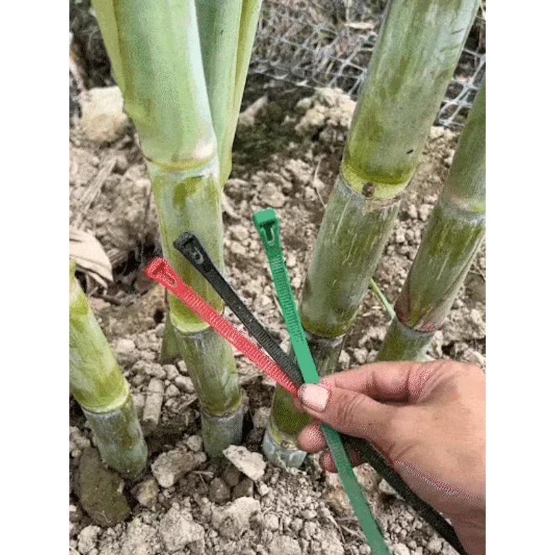 Reusable Zip Ties, 100pcs Colored Zip Tie Heavy Duty Outdoor Small Cable Ties, Releasable Tie Wraps, Wire Ties Removable for Cord Management (8 Inch)