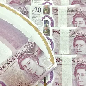 100pcs British Pound Pet Memorial Coins, Pet Memorabilia Collection, Collectible Coin Props, Pet Tribute Paper Currency