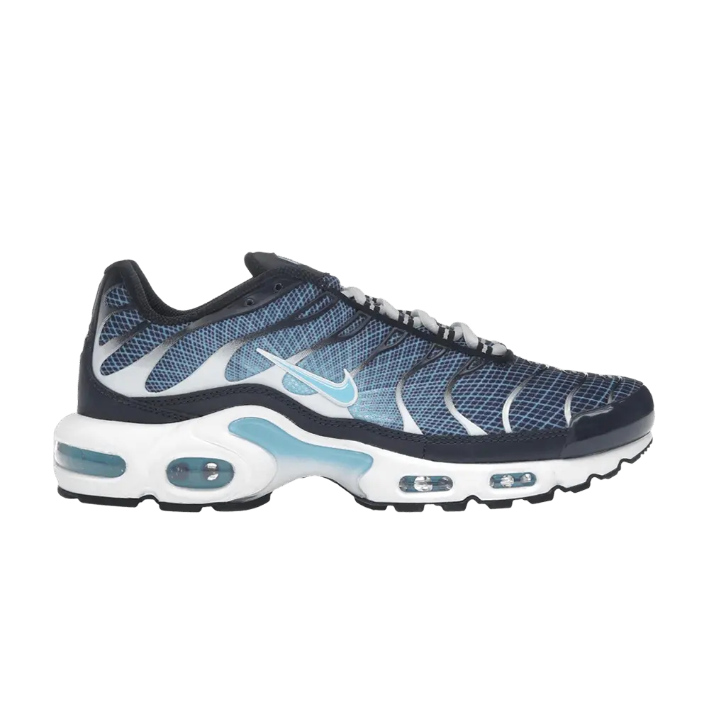 Nike Air Max Plus 'Dark Obsidian' (Unisex) Dark Obsidian/Blue Chill/White/Black running shoes IH4460 400