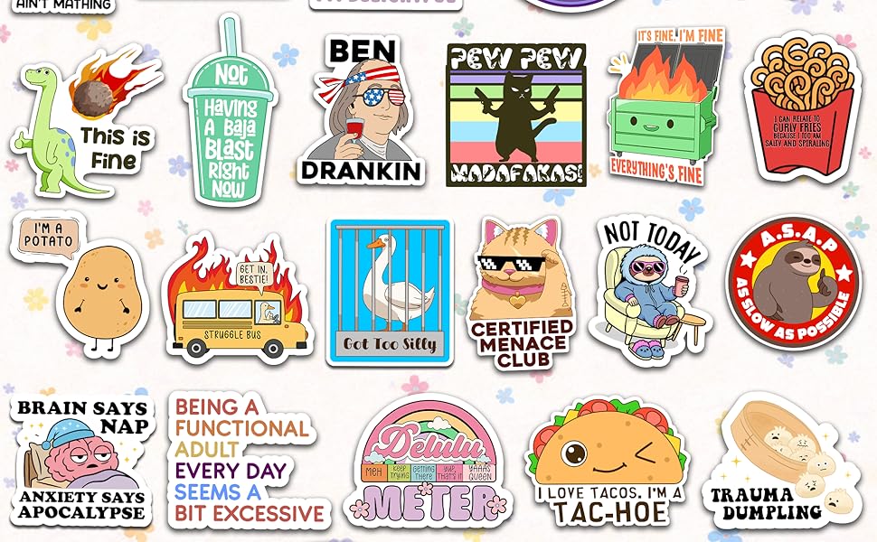 200 Pcs Funny Stickers for Adults, Prank Meme (Dirty) Hilarious Sticker Pack for Laptop, Hard Hat, Work, Water Bottles, Computers, Vinyl Waterproof Decals