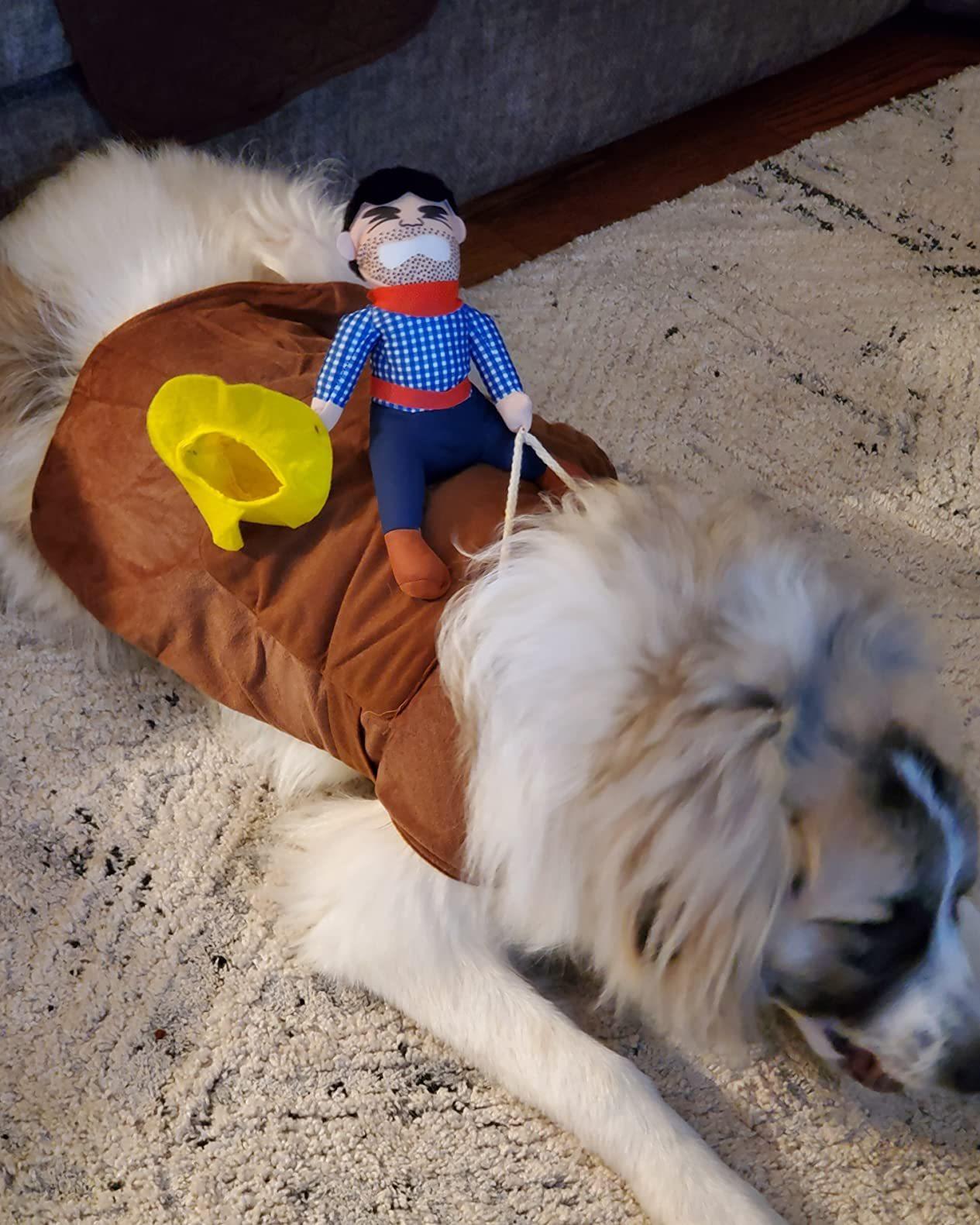 Large Cowboy Rider Dog Costume - Adjustable Pet Outfit, Suitable for Halloween and Parties, Fits Pets Weighing 38.5-99 Pounds