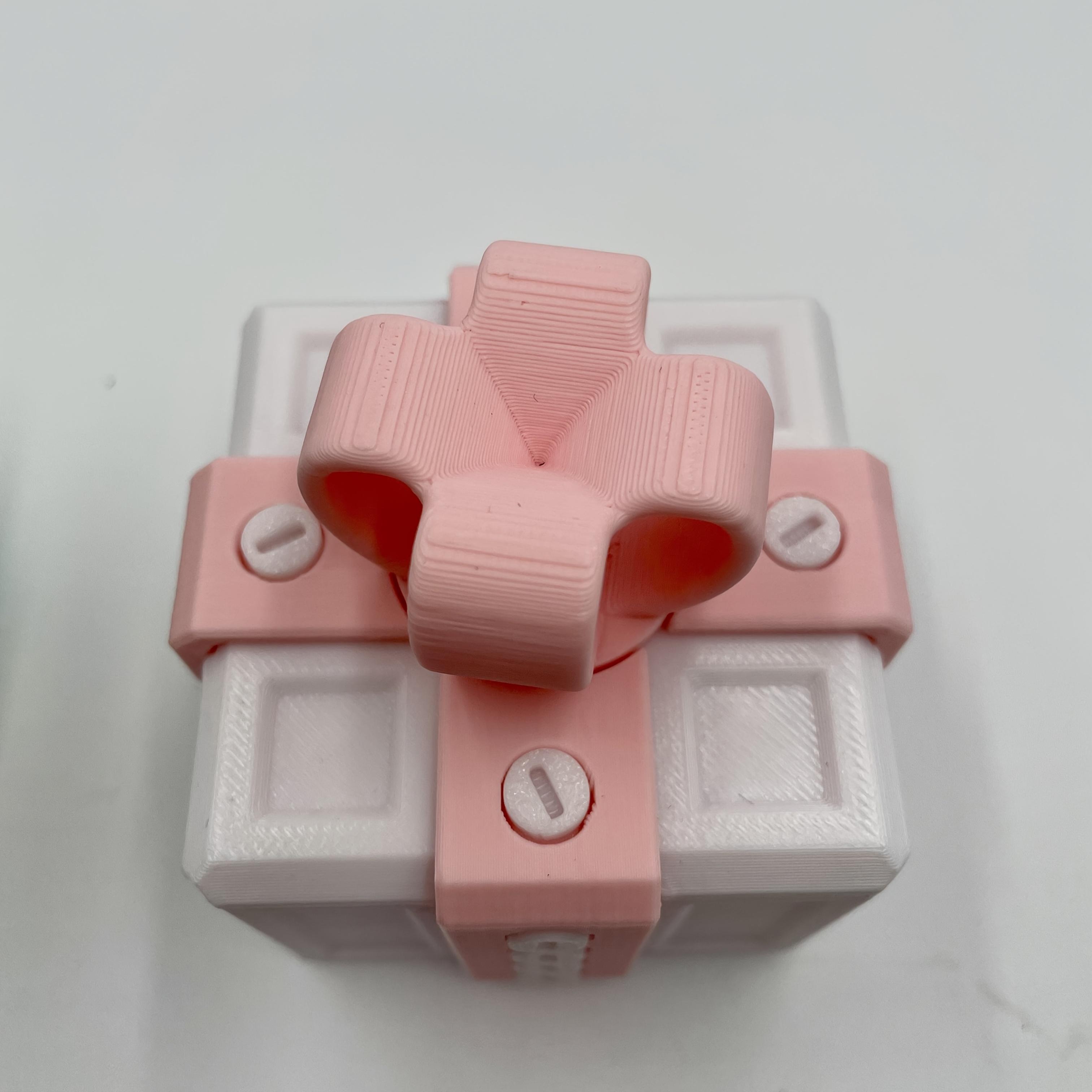 3D Annoyingly Fun Gift Box with Plastic Screws - Interactive Geometric Puzzle Novelty Gag Gift for Christmas, Birthdays, Valentine's Day - Durable Plastic Money Card Container for Ages 14+, Prank Item | Humorous Design | Screwtop Container, Christmas