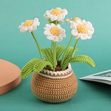 2 Pieces Crochet Hook Set, Suitable for Beginners, Flowers Crochet Hook Set, Crochet Starter Kit Potted Plants with Step-by-Step Video Tutorial, Suitable for Beginners and Adults (Daisies and Sunflowers)